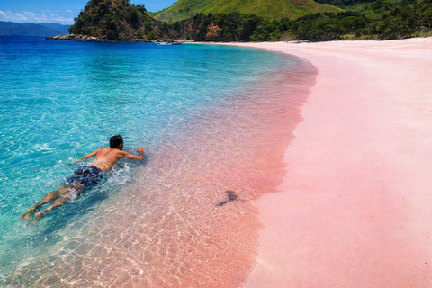 From Labuan Bajo: Sharing Snorkeling Activity With Speedboat Long day trip with speedboat and snorkeling
