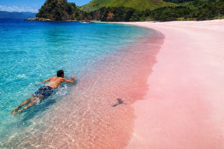 From Labuan Bajo: Sharing Snorkeling Activity With Speedboat Long day trip with speedboat and snorkeling