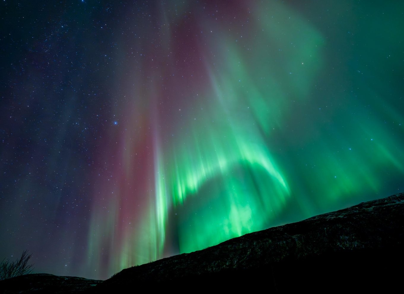 Tromsø: Nordlys i minibus med gratis fotos og et varmt måltid