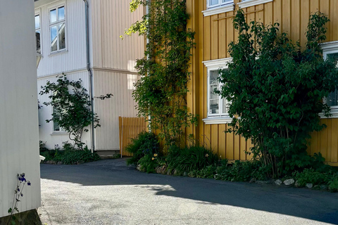 From Oslo: Drøbak and Oscarsborg Fortress Day Trip