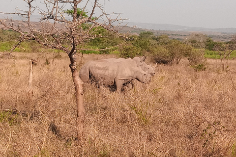 Kigali: Safari de dia inteiro no Parque Nacional de AkageraViagem de 1 dia ao parque nacional de Akagera