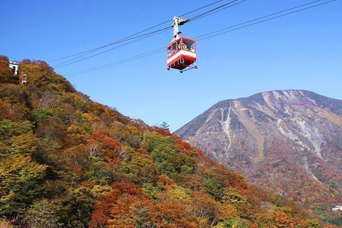 From Tokyo: Nikko World Heritage Sight Full Day Private Tour