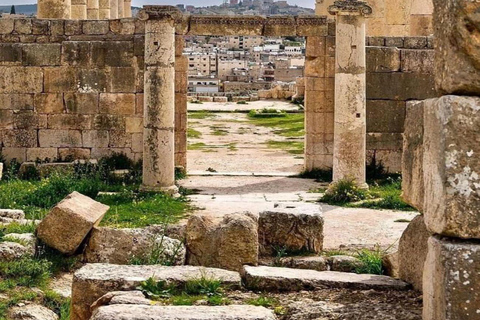 Jerash, Ajloun , and Umm Qais Full-Day Tour From Amman