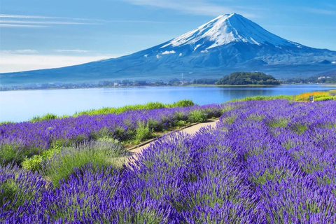Tokyo: Mt Fuji & Arakurayama& Oshino Hakkai&Lake Kawaguchiko 8:00 AM | Shinjuku Station, West Exit
