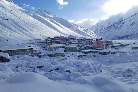 加德满都：朗唐谷地6日全包导游徒步之旅