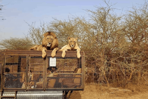 From Dakar: Bandia Reserve, Saly, and Lac Rose 2-Day Tour