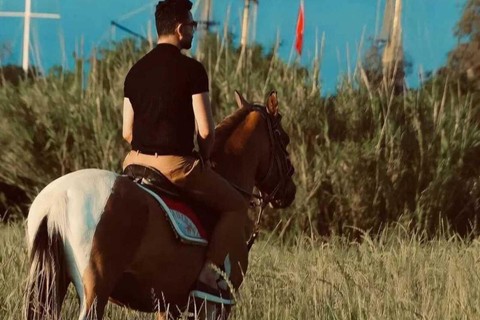 Manavgat/Side: Horse Riding on the Beach and in the Forest