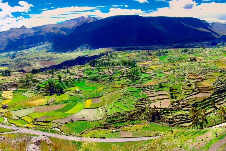 From Arequipa: 1 Day Tour to the Colca Canyon + Buffet lunch