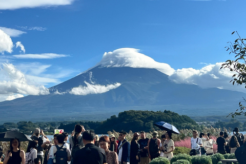 Från Tokyo: Fuji-berget eller Hakone Sightseeing Privat dagstur