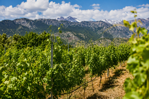 Chania Shore Tour: Monastery, Olive Oil & Wine Tasting Tour
