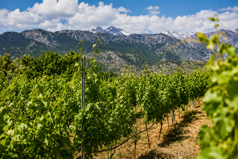 Chania Shore Tour: Monastery, Olive Oil & Wine Tasting Tour