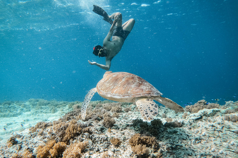 Au départ de Bali : Excursion privée de plongée en apnée aux îles GiliVisite privée de 4 heures de plongée en apnée avec GoPro (lieu de rendez-vous)