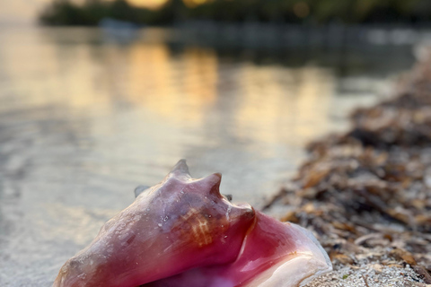 Saint Martin: Private Yoga & Sailing Retreat with Meals