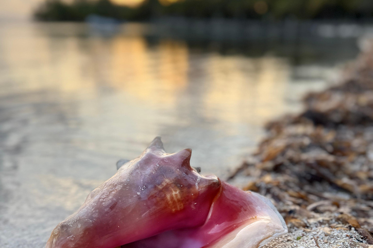 Saint Martin: Private Yoga & Sailing Retreat with Meals