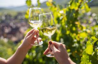 Von Nizza aus: Weinverkostung und Tour durch die provenzalische Landschaft