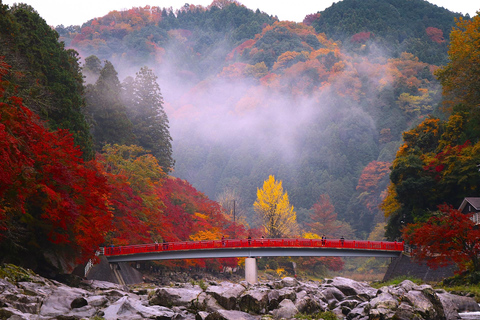 1-Day Tour from Nagoya: Korankei Gorge & Inari Fox Shrines