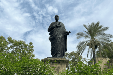 Cordoba's Historic Center: A self-guided tour created by an Official Guide Cordoba's Historic Center: Self-Guided Tour Created by an Official Guide