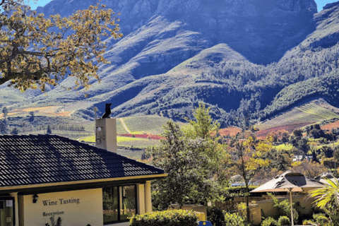 Cidade do Cabo: Viagem de 1 dia a Stellenbosch, Franschhoek e Paarl