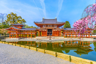 Deer Park: Tickets and Tours
