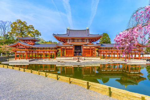 Osaka: Nara, Uji Matcha Experience and Onsen Full Day Tour