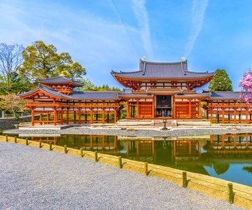 大阪：奈良公園、宇治抹茶、東大寺、日帰り温泉ツアー