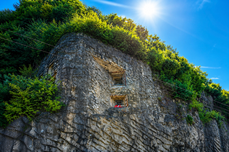 Zurich: Tour ,Swiss Castle Secrets: Gruyères, Chillon end…