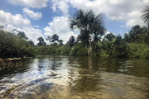 Maranhão: River Tubing in the Clear Waters of Formiga River