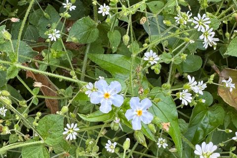 منتزه تشيبينكي الطبيعي - رحلة صباحية / بعد الظهر