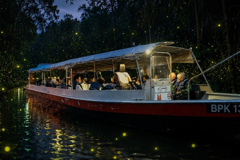 From Kuala Lumpur: Kuala Selangor Firefly Cruise & Dinner