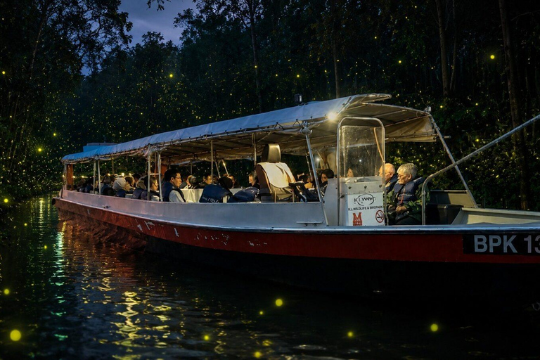 From Kuala Lumpur: Kuala Selangor Firefly Cruise & Dinner