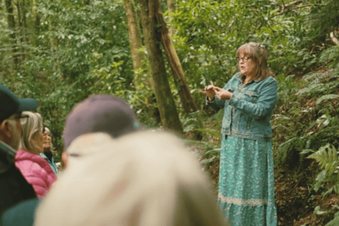 Wexford: Explore an Ancient Woodland with an Irish Witch