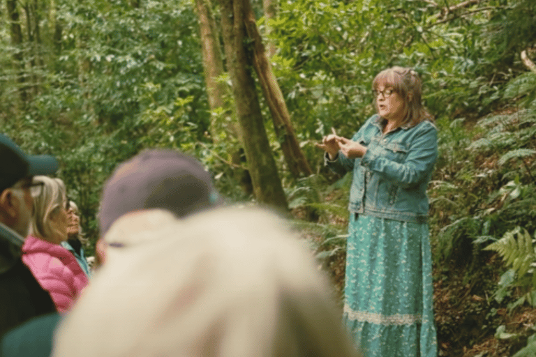 Wexford: Explore an Ancient Woodland with an Irish Witch