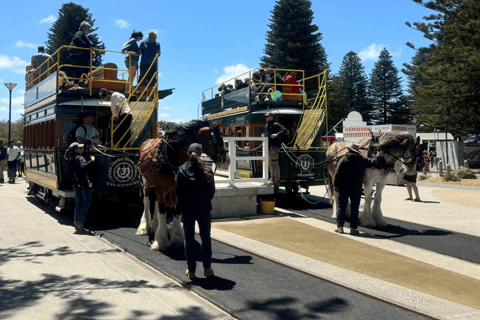 South Australia: Guided Full-Day Highlights Tour Standard Option