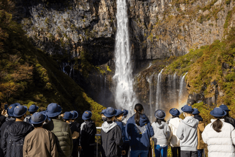 From Tokyo: Nikko World Heritage Private Tour with Guide Nikko World Heritage Full Day share Van tour
