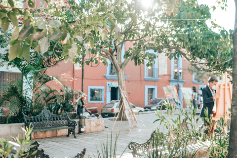 Tour histórico particular em Oaxaca - Melhor avaliação