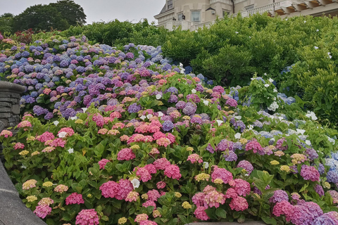 Historiska höjdpunkter i Newport,RI med förgylld tidsålder