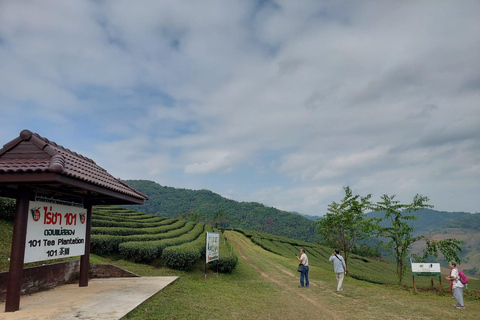 Chiang Rai: Mountains Discovery Doi Mae Salong & Doi Tung Mountains Discovery:Doi Mae Salong & Doi Tung (Private Tour)