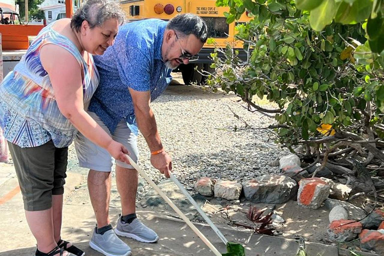 圣马丁岛：圣马丁岛最佳私人观光旅游