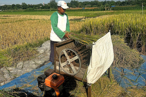 Yogyakarta: Cooking Class & Countryside Bike Tour with Lunch