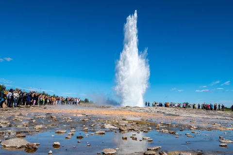 Walvisspotten en Golden Circle-tour van een hele dag vanuit Reykjavik