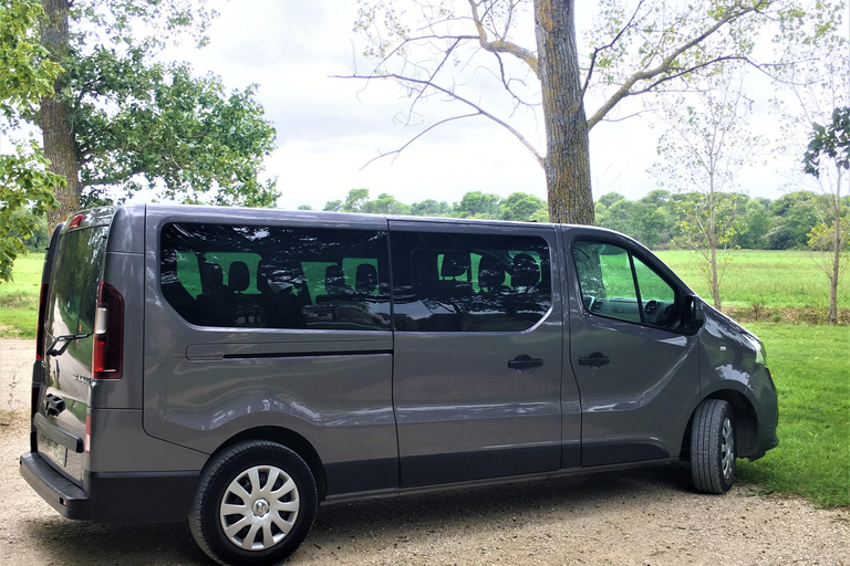 La Londe-les-Maures: Half-Day Wineries Tour with Tastings