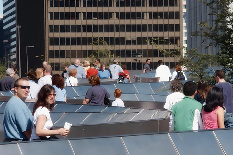 Chicago: Millennium Park Guided Walking Tour