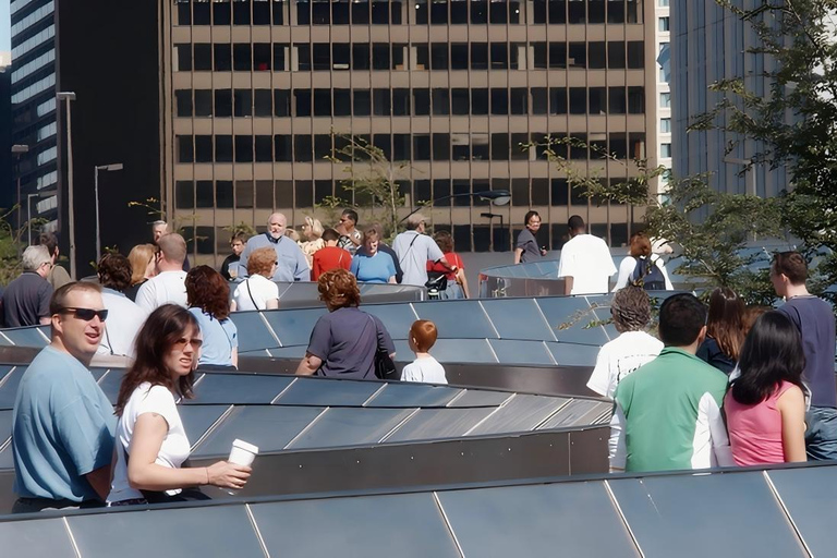 Chicago: Millennium Park Guided Walking Tour