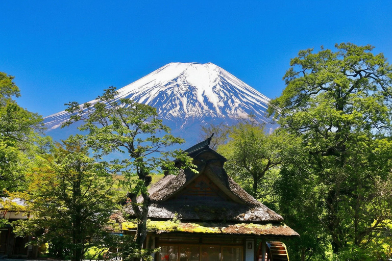 Tokyo: Mt Fuji & Oishi Park, Oshino Hakkai, Chureito Pagoda Free Karaage Chicken Set | Tokyo Station 8:00AM