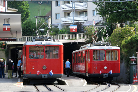 3 Mountains in 1 Day by Train, Cable Cars, Funiculars & Boat Excluding Train Tickets