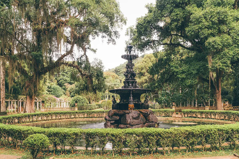 Tour guidato del Giardino Botanico e del Parco Lage nel cuore di Rio