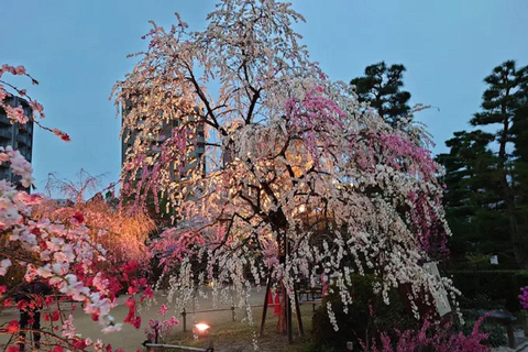Tour Hiroshima: Explore Its Spiritual & Cultural Treasures