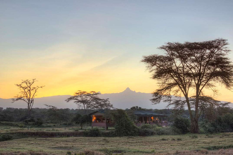 3 jours, 2 nuits safari privé dans la réserve d'Olpejeta3 jours et 2 nuits de safari à Olpejeta