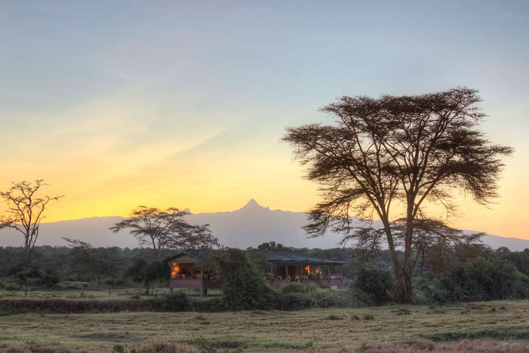 3 jours, 2 nuits safari privé dans la réserve d'Olpejeta3 jours et 2 nuits de safari à Olpejeta