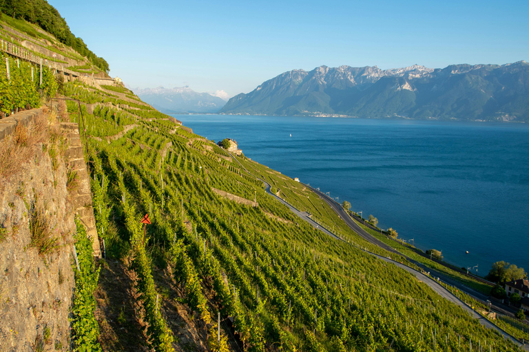 UNESCO Lavaux — Vineyards & Food Tasting — Private Van from Montreux